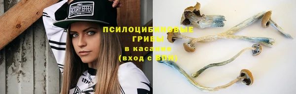 бутират Арсеньев