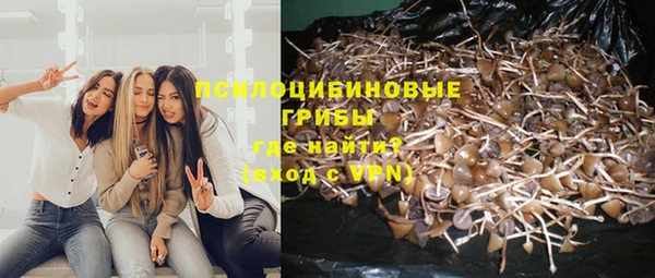 мескалин Аркадак