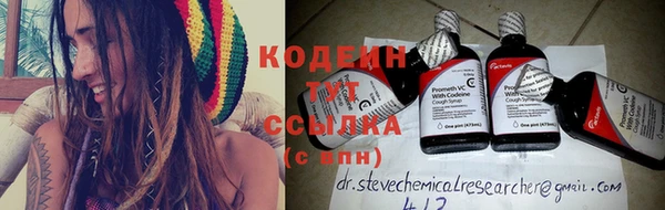 сатива Пересвет