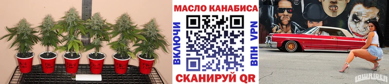 ТГК вейп с тгк  магазин    hydra зеркало  Белово 